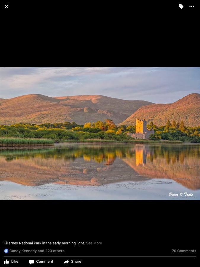 Cherry Tree Accommodation Killarney Exterior foto